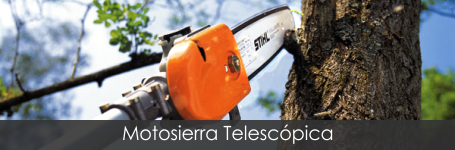 Motosierra telescópica